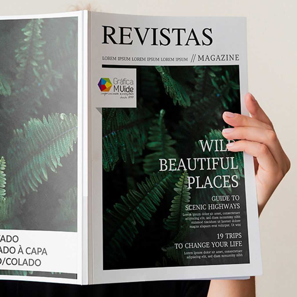 REVISTA mvide